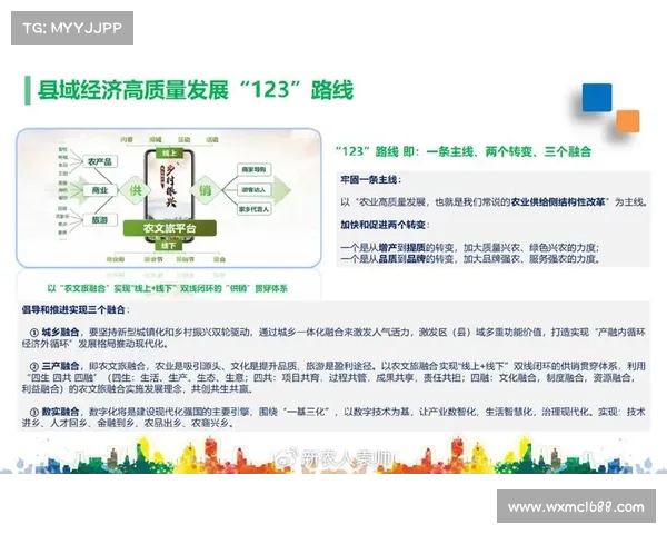 多元化发展路径探索:部落合作与联盟协同发展新模式解析 多元化发展路径探索:部落合作与联盟协同发展新模式解析