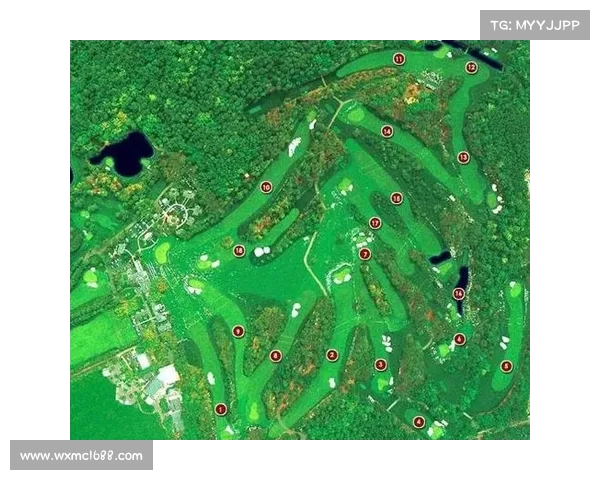 拜仁慕尼黑主场体育场名称演变与历史文化全景解析指南