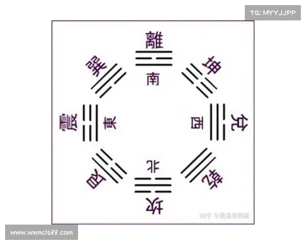 法甲冠军标志的历史起源演变过程及文化象征意义全面深度探讨