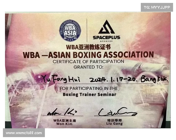 德翁泰·怀尔德震撼拳坛 重夺重量级拳击世界冠军称号