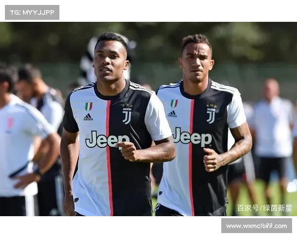 意甲联赛的辉煌与挑战：回顾历史、分析现状、展望未来发展趋势