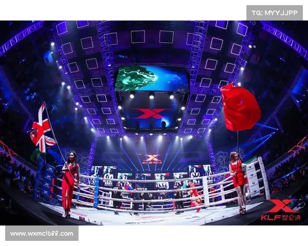 拳击赛事的魅力全解析精彩节目与赛制深度剖析